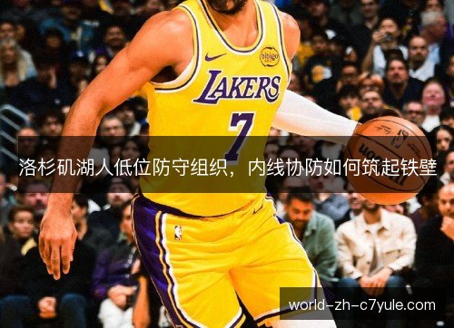 洛杉矶湖人低位防守组织,内线协防如何筑起铁壁 洛杉矶湖人低位防守组织,内线协防如何筑起铁壁